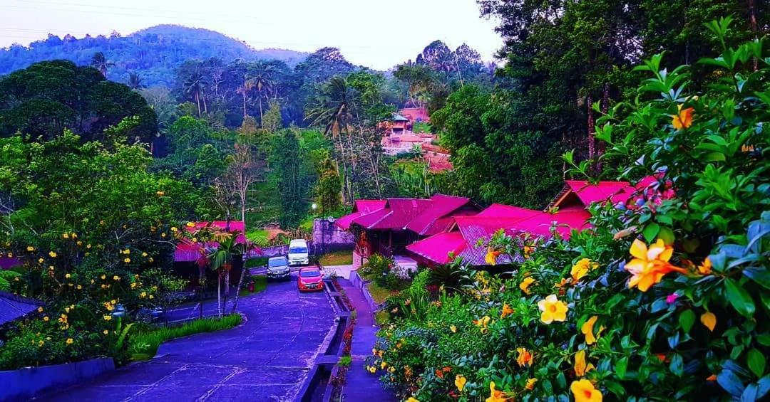 Highland Resort & Nature Tours Tomohon Zewnętrze zdjęcie